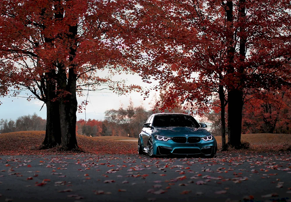 Auto Autumn