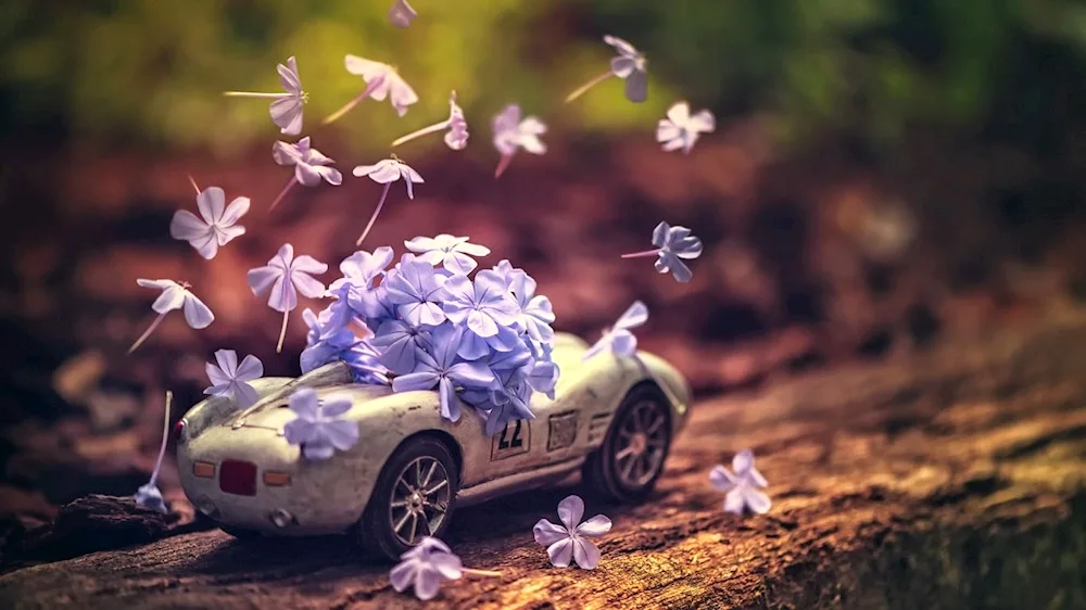 Car in flowers