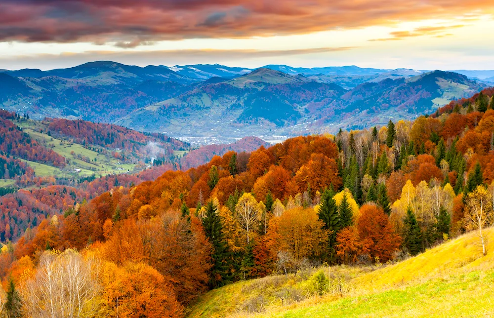 Autumn nature