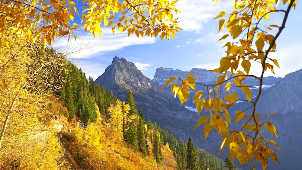 Beautiful autumn