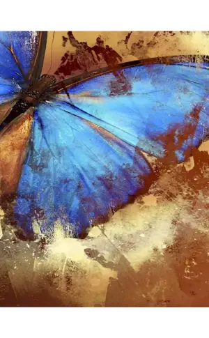 Butterfly art