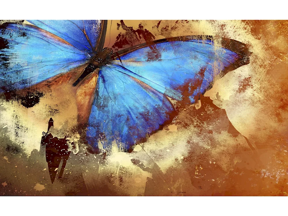 Butterfly art