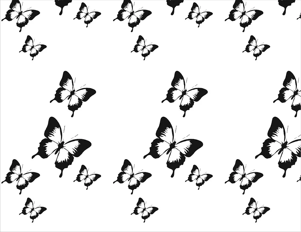 Butterfly black and white