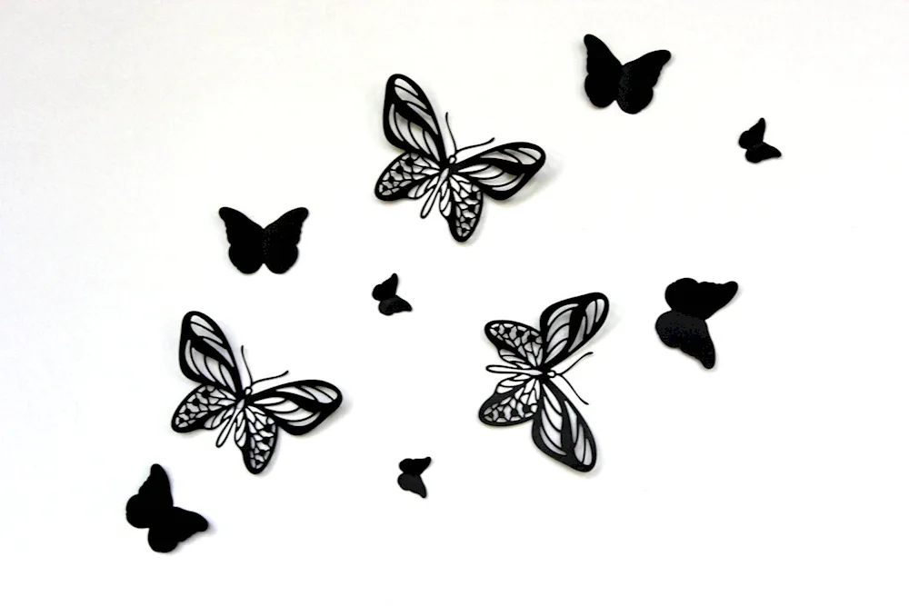 Butterfly black white