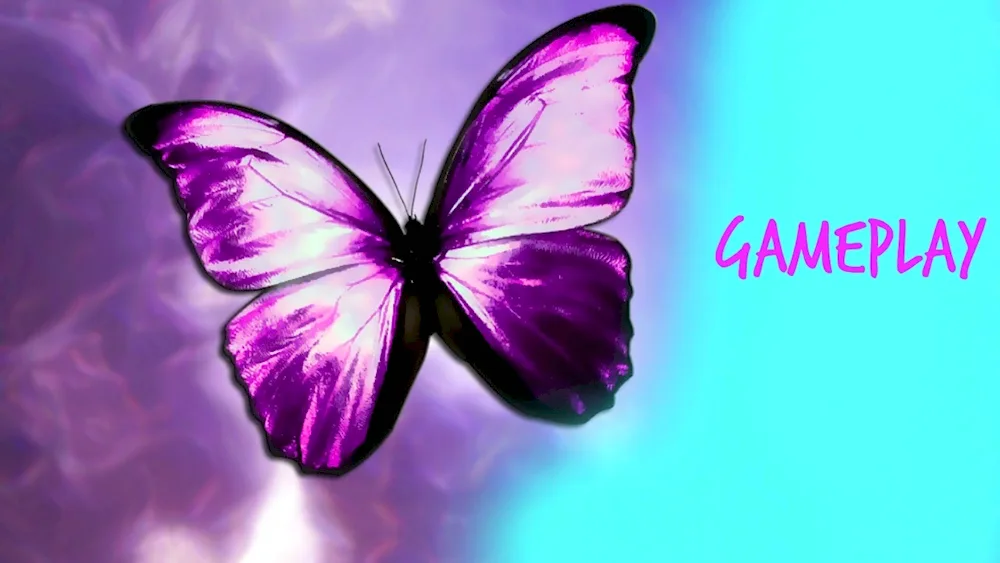 Purple butterfly