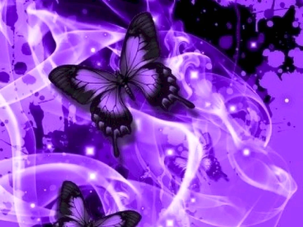 Purple butterfly