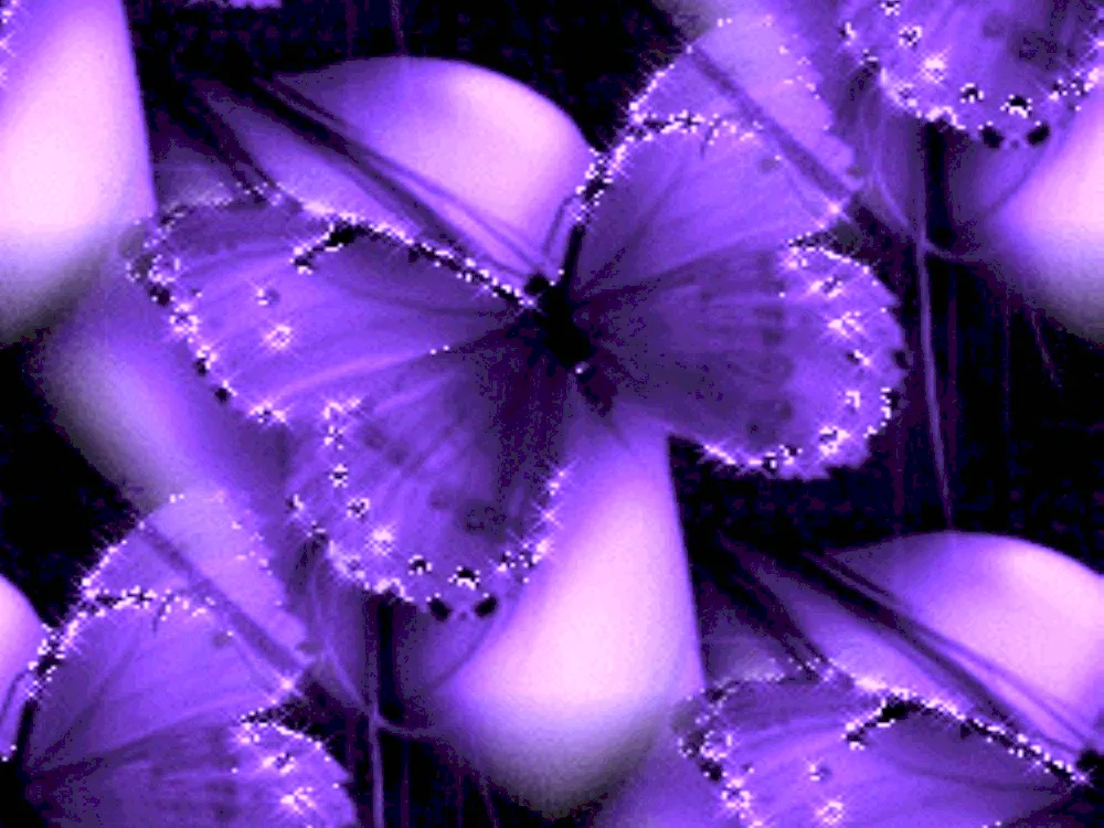 Butterfly Violet butterfly