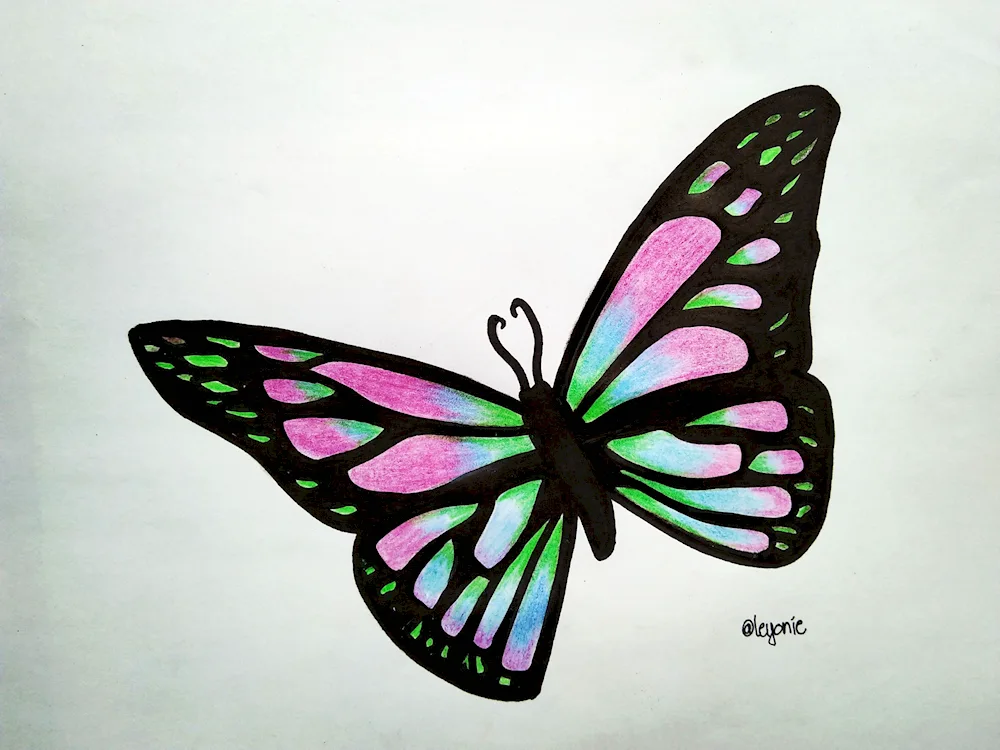 Painting a butterfly step by step