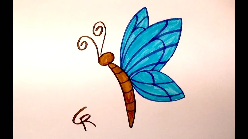 Butterfly drawing