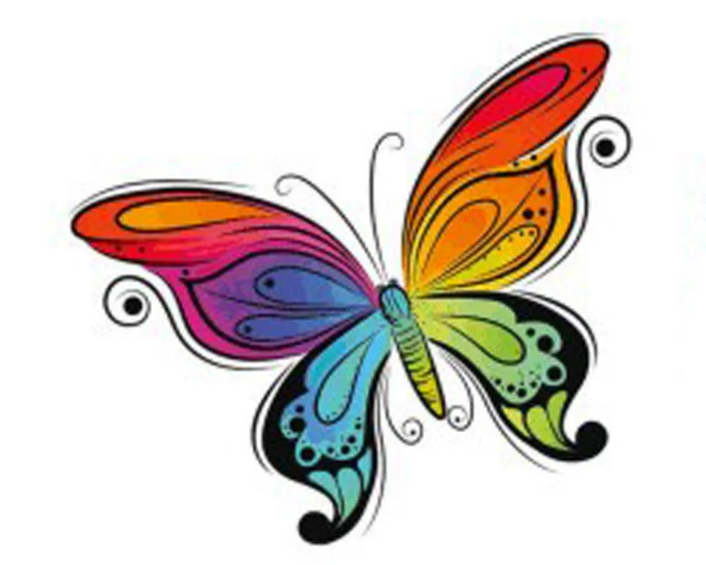 Butterfly drawing