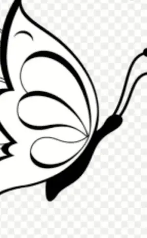Butterfly drawing