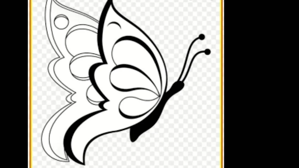 Butterfly drawing