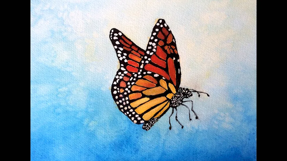 Butterfly drawing