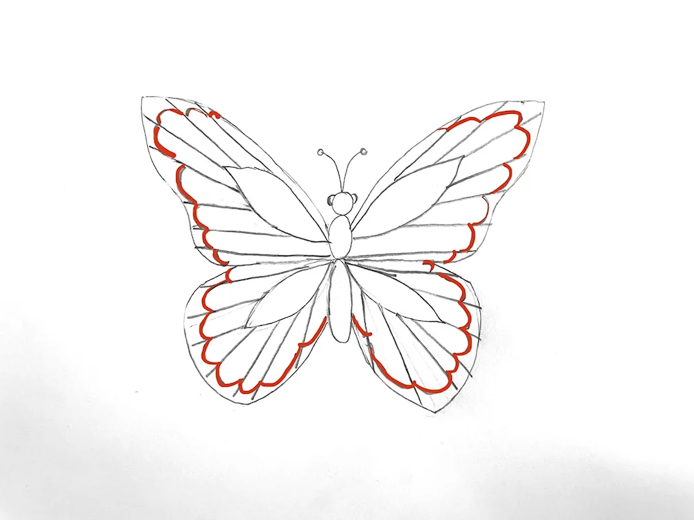 Butterfly drawing