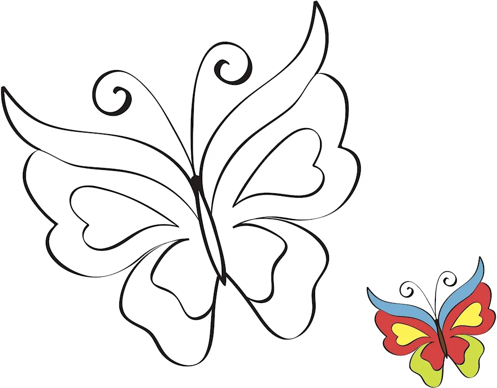 Butterfly pencil drawing