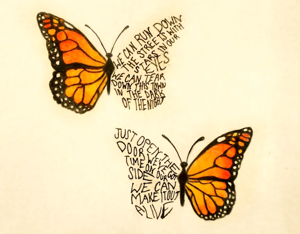 Butterflies Aesthetics Indie KID