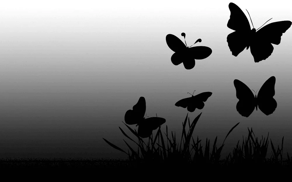 Butterflies on black background