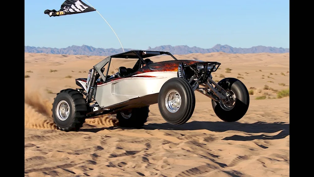 Buggy Polaris RZR 1000