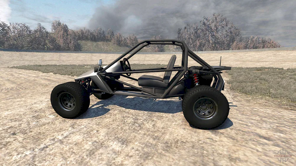 Buggy Gokart 100