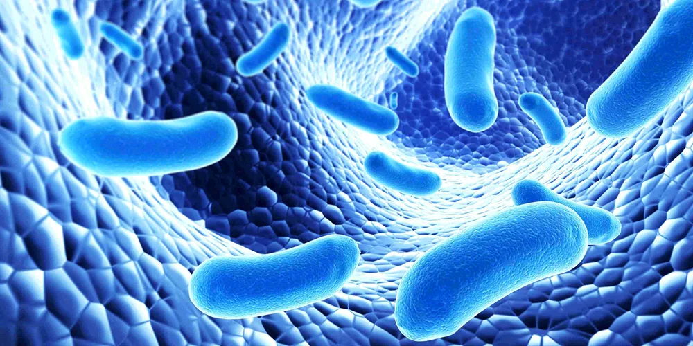 Bacteria background