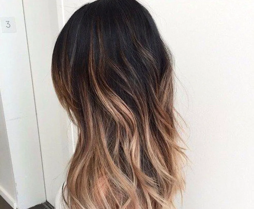 Balayage on dark hair 2018