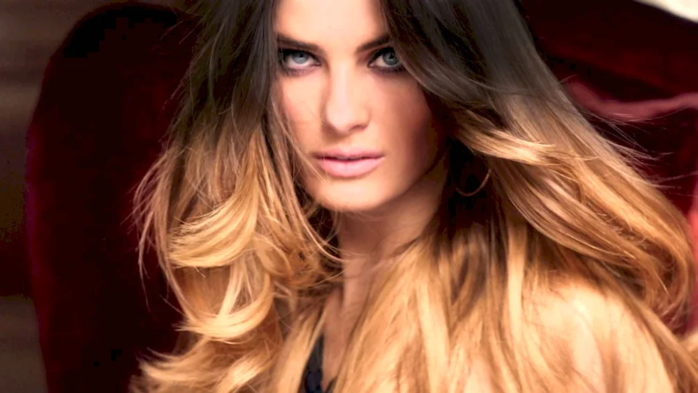 Wheaten Balayage Shatush