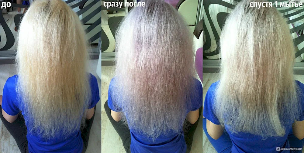 Arctic Blond Balm Concept