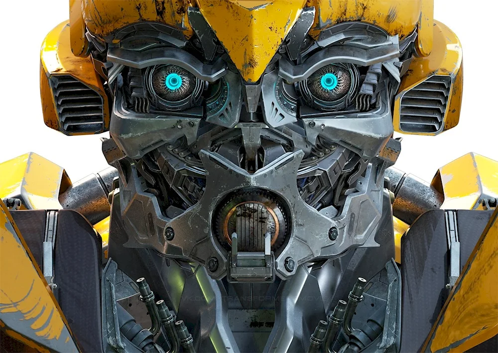 Bumblebee 1