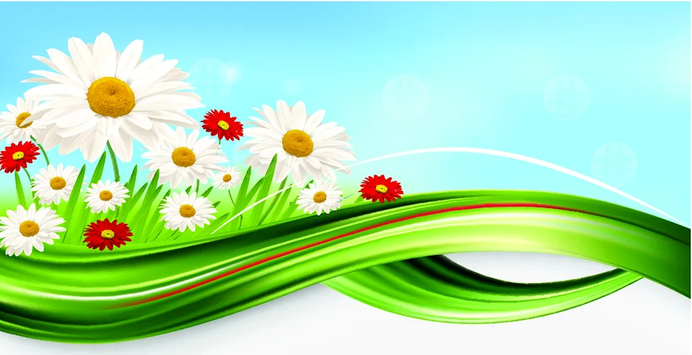 Daisy Flowers background