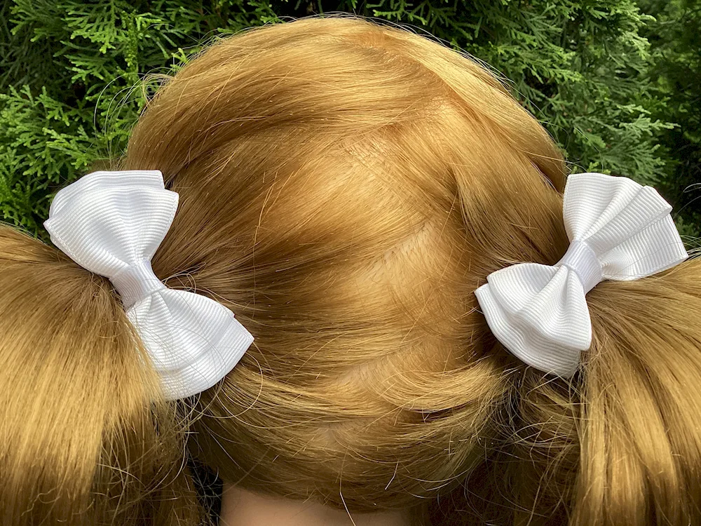 School bows