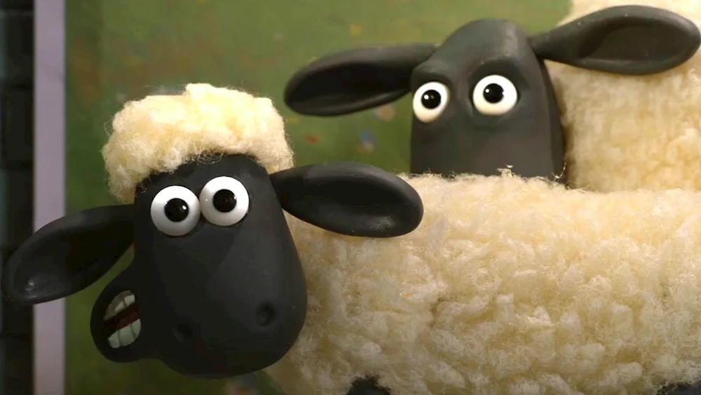 Curly Sheep