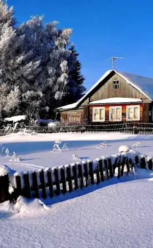 Barsukovo village in winter of Vologda