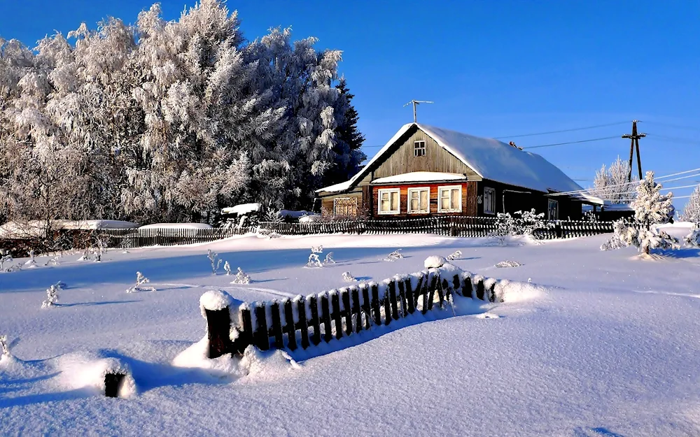 Barsukovo village in winter of Vologda