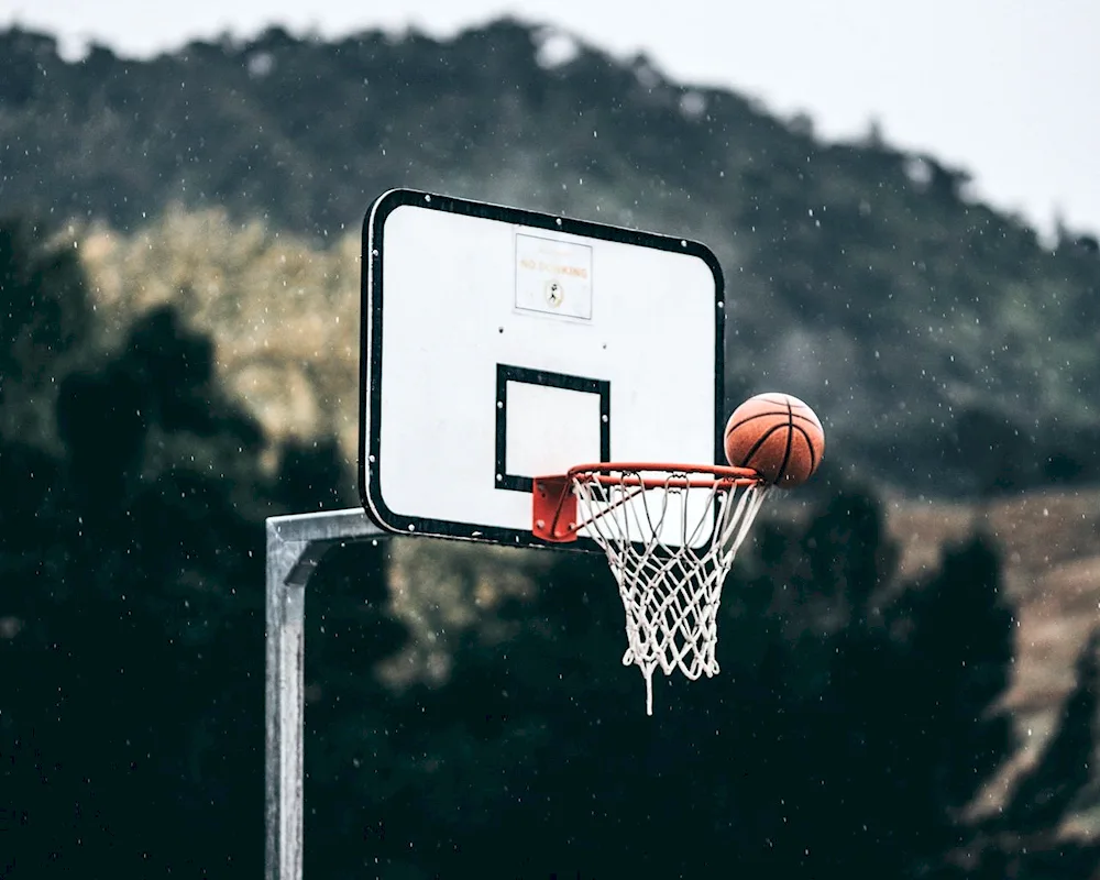 Basketball and ring