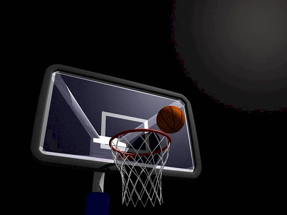 NBA basketball hoop