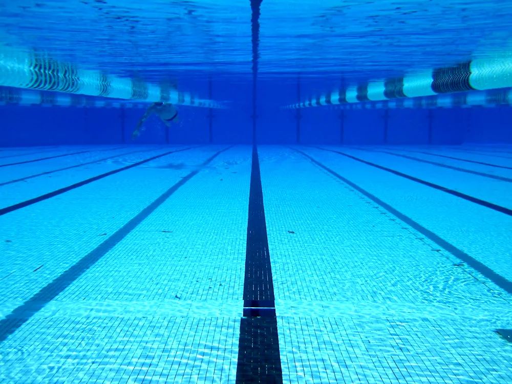 Pool with lanes