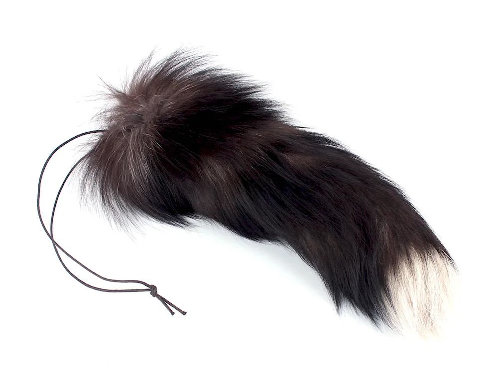 Fox tail