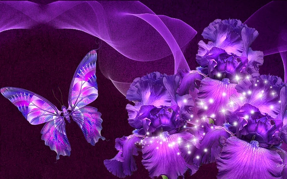 Violet butterfly