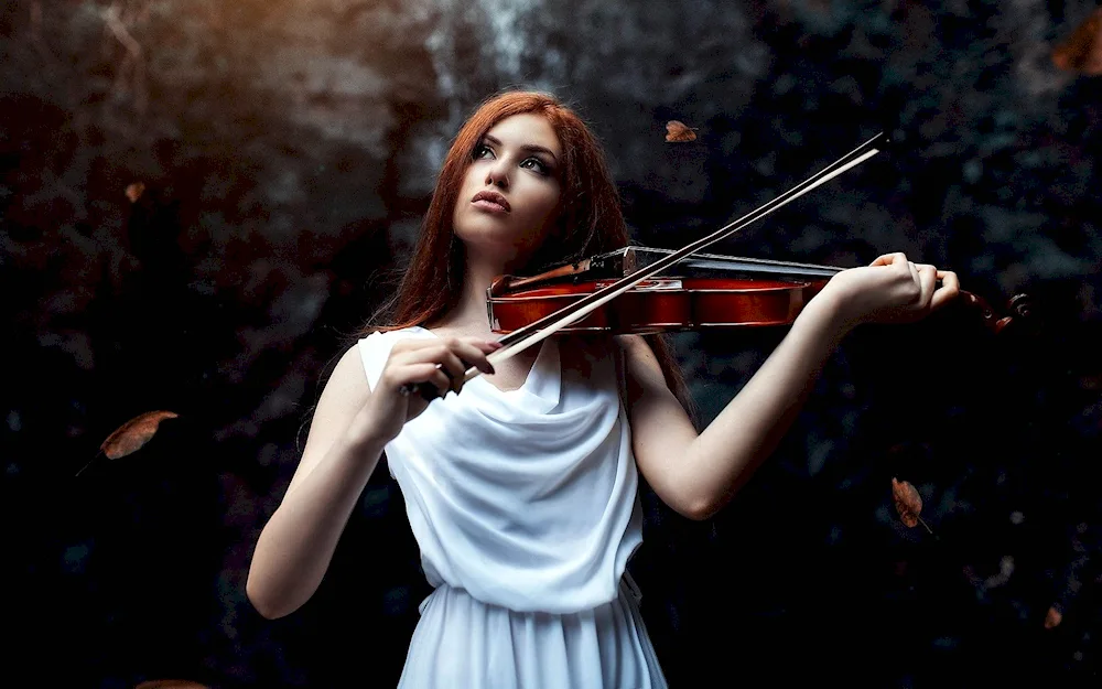 Beautiful Violinist