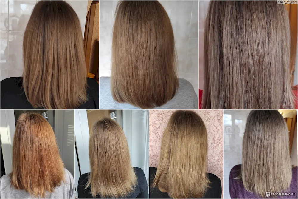 Colouring dark russet