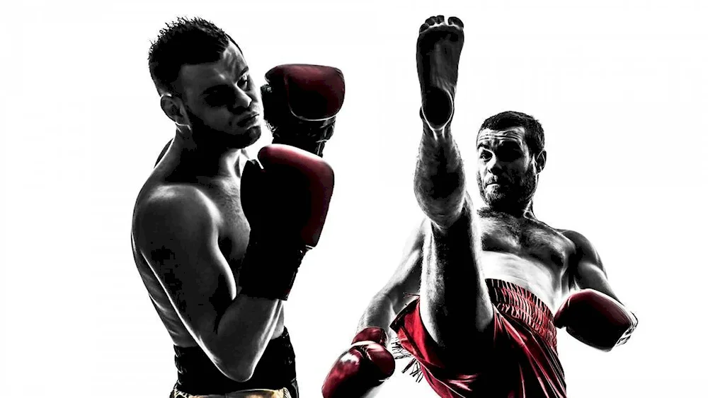 Back KICK punch