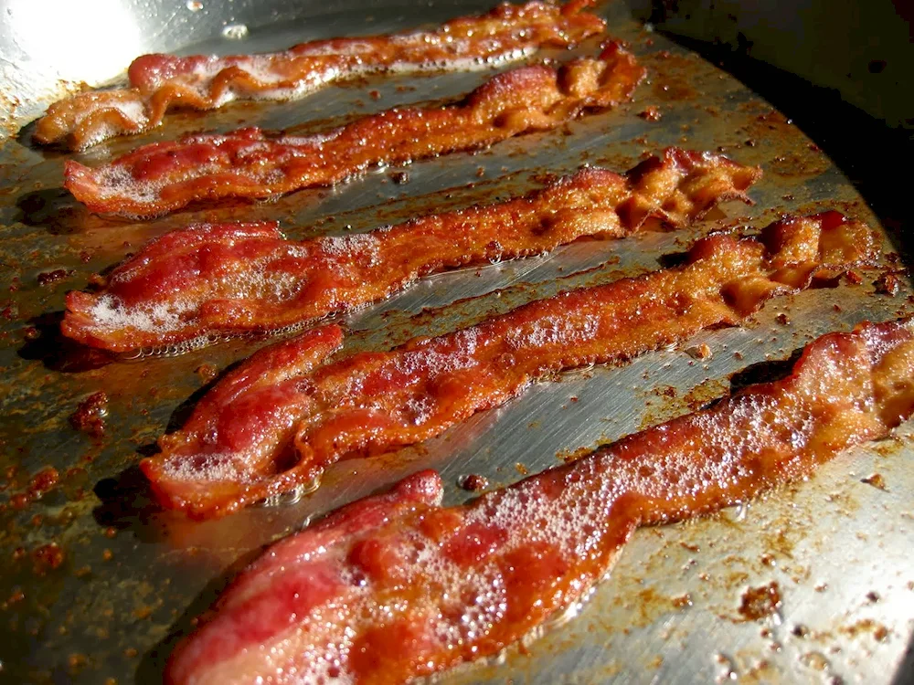 Bacon bacon