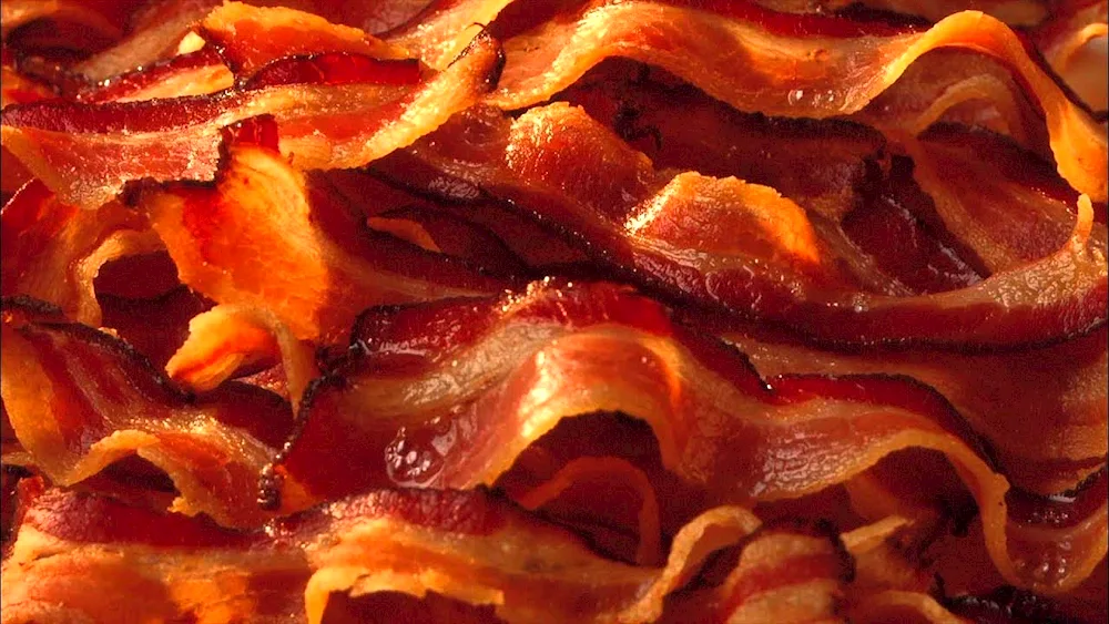 BaconBaconBaconBaconBaconBaconBaconBaconBaconBacon. bacon