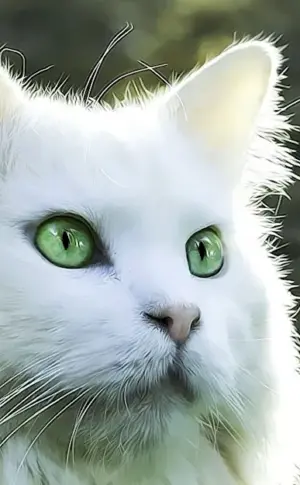 White cat with green eyes