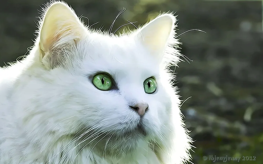 White cat with green eyes