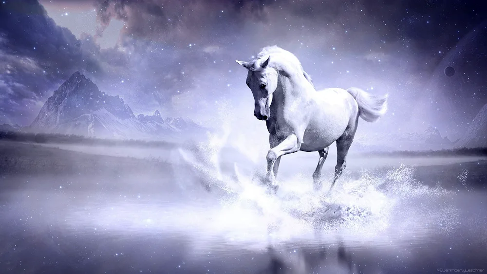 Horse running