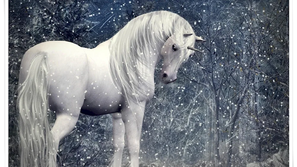 White horse