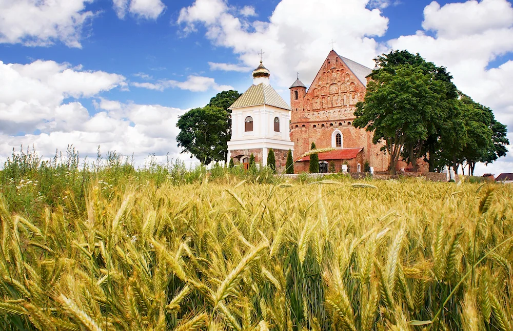 Belarus Belarus