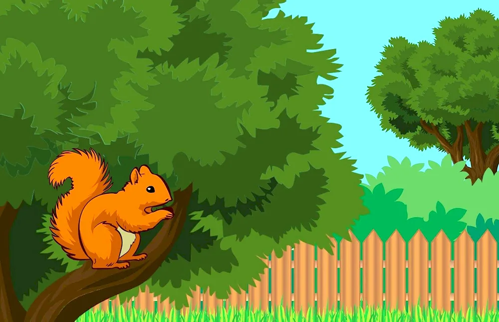 Squirrel on a tree cartoon