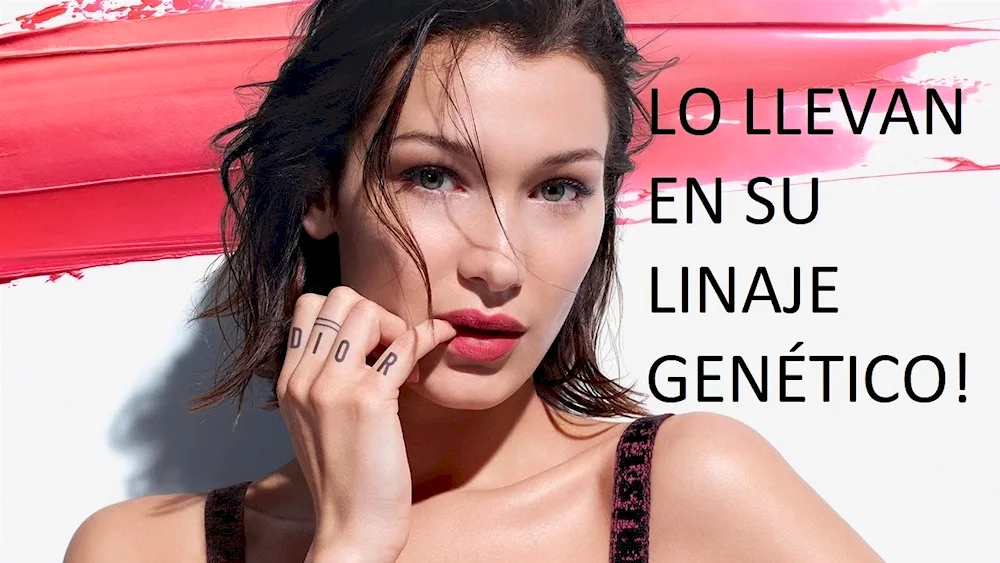 Bella Hadid